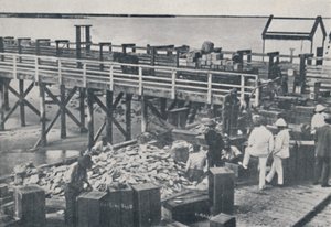द पर्ल फिशिंग इंडस्ट्री - पैकिंग शेल, 1923। द्वारा अज्ञात