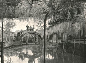 शिनजी-नो-आइक तालाब और विस्टेरिया, कमेइडो, टोक्यो, जापान, 1895। द्वारा अज्ञात