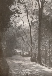 तिजुका की आत्मा, 1914 द्वारा अज्ञात