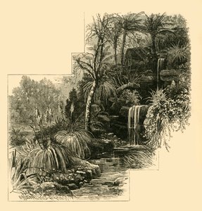 द ट्रॉपिकल गार्डन, बैटरसी पार्क, c1878। द्वारा अज्ञात