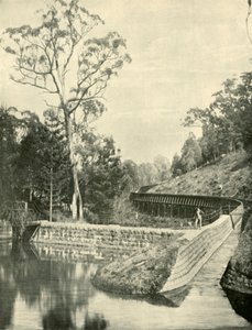 द वियर एंड फ्लमिंग, किर्क रिज़र्वेर, 1901। द्वारा अज्ञात