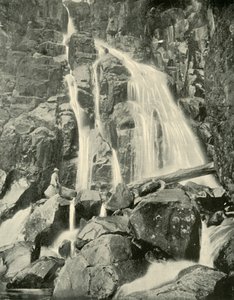 द वेलिंगटन फॉल्स, माउंट वेलिंगटन, 1901। द्वारा अज्ञात