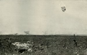 द वूली बियर।, 1919। द्वारा अज्ञात