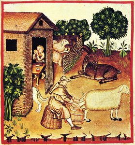 पनीर का उत्पादन। टैकुइनम सैनिटैटिस से एक लघु, 14 वें सेन का दूसरा आधा भाग। द्वारा अज्ञात
