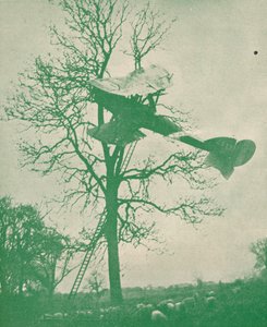 रात के उड़ने का जोखिम, c1918 1919 द्वारा अज्ञात