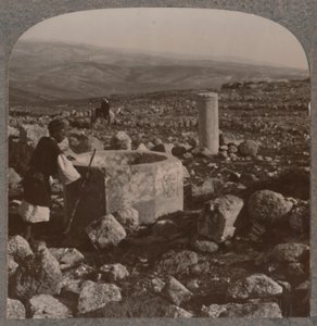 टेको का खंडहर, c1900 द्वारा अज्ञात