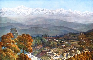 20 वीं सदी की शुरुआत में जलपहाड़, दार्जिलिंग, भारत के सांप द्वारा अज्ञात