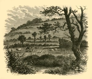 थिस्सलडन, 1898। द्वारा अज्ञात