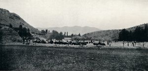 प्राचीन मनेर में थ्रेसिंग कॉर्न, 1911 द्वारा अज्ञात