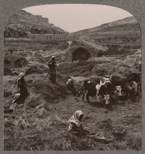 जैकब्स वेल के पास थ्रेसिंग ग्रेन, c1900 द्वारा अज्ञात