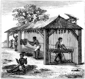 तंबाकू की तैयारी, 1873 द्वारा अज्ञात