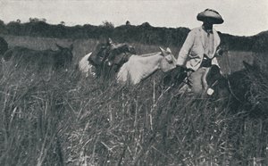 पम्पास, 1916 पर यात्रा करें द्वारा अज्ञात