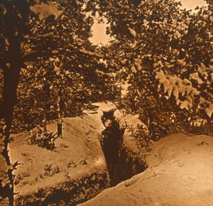 देवदार के पेड़ों के नीचे खाइयां, c1914-c1918 द्वारा अज्ञात
