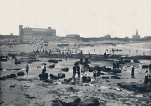 टाइनमाउथ - द एक्वेरियम एंड सैंड्स, 1895 द्वारा अज्ञात