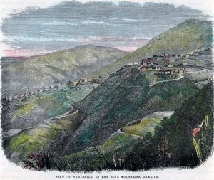 न्यूकैसल का दृश्य, ब्लू पर्वत, जमैका, c1880 में द्वारा अज्ञात