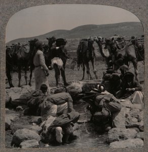 जैकब वेल में पानी के ऊंट, c1900 द्वारा अज्ञात