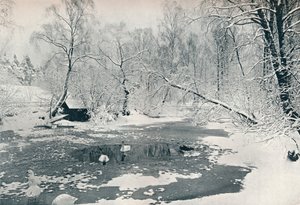 स्केनसेन में ओपन-एयर संग्रहालय का शीतकालीन दृश्य, c1900 द्वारा अज्ञात