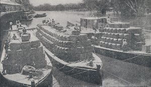मुर्रे नदी, 1923 में वूल बार्ज। द्वारा अज्ञात