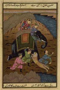 सम्राट अकबर (1556-1608), अकबरनामा, मुगल से बाघ के शिकार पर (सचित्र) द्वारा अज्ञात अज्ञात