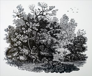 एक मछुआरा द्वारा अज्ञात