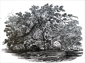 एक मछुआरा द्वारा अज्ञात