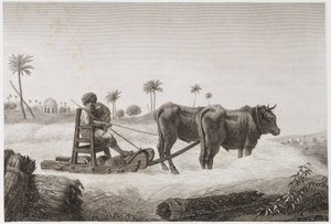 कृषि योग्य खेती, हार्वेस्टिंग थ्रेशिंग मशीन, मिस्र, c 1798 द्वारा अज्ञात