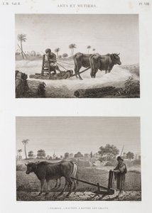 कृषि योग्य खेती, जुताई थ्रेसिंग मशीन और हल, मिस्र, c 1798 द्वारा अज्ञात