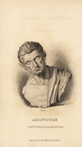 आर्टिस्टोटल, यूनानी दार्शनिक और प्रकृतिवादी, 384-322BC द्वारा अज्ञात