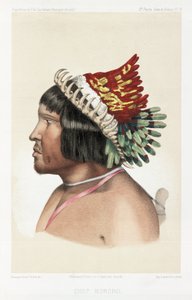 बोरोरो प्रमुख, दक्षिण अमेरिका, सी 1843-1847-18 द्वारा अज्ञात