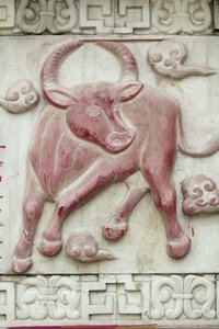 चीनी ज्योतिषीय संकेत। सफेद बादल मंदिर बीजिंग चीन द्वारा अज्ञात