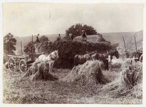 खेती के दृश्य, कटाई और भंडारण, पूर्व-1900 हार्वेस्ट, सी 1890 द्वारा अज्ञात