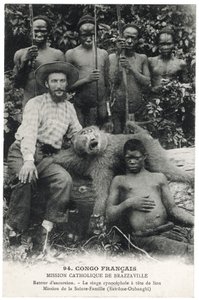 शेर के सिर वाला सिनोसेफेलिक बंदर, c.1910 (लिथो) द्वारा अज्ञात