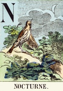 एन: निशाचर - द हंटिंग वर्णमाला, c.1890 (उत्कीर्णन) द्वारा अज्ञात