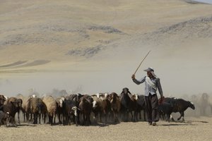  द्वारा अनजान कलाकार