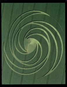 सर्पिल गठन, 4 जुलाई 1999 (फोटो) द्वारा अज्ञात