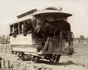 चेरेलिन हॉर्स कार, डेनवर, कोलोराडो, c.1890 (b/w फोटो) द्वारा निकोलस लीज़