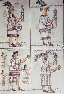 Tzapotlatena, Chalchiuhtlatonal, Cioapipitli और Tliltecuhtli, फ्लोरेंटाइन कोडेक्स, स्पेनिश और नाहुआट्ल में द्विभाषी संस्करण, न्यू स्पेन की चीजों का सामान्य इतिहास (हिस्टोरिया जनरल डे लास कोसास डी नुएवा एस्पाना), एज़्टेक द्वारा अज्ञात कलाकार