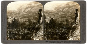 लेबनान के पहाड़ों, 1900 के दशक में रेशम का कीड़ा का पौधा। द्वारा अंडरवुड और अंडरवुड