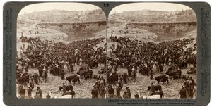 मवेशी बाजार का दिन, गिहोन के निचले पूल, हिनोम की घाटी, यरूशलेम, फिलिस्तीन, 1900 में। द्वारा अंडरवुड और अंडरवुड