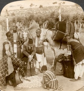 फ्रांस, एंटिओक, सीरिया, 1900 के दशक के निर्यात के लिए रेशम कोकून खरीदने वाले विशेषज्ञ। द्वारा अंडरवुड और अंडरवुड