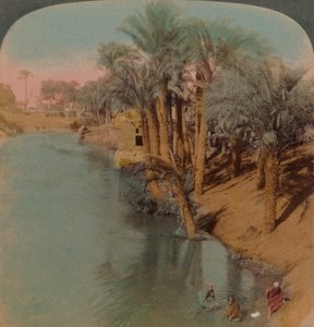 फयूम में, मिस्र के सबसे अमीर ओएसिस बहरीन युसेफ नदी जोसेफ पर नील नदी, 1902 में। कलाकार: एल्मर अंडरवुड, बर्ट एलियास अंडरवुड। द्वारा अंडरवुड और अंडरवुड