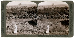 कार्मेल की ओर, 1900 के दशक में, एडरेलॉन के मैदान में, शुनम से उत्तर-पश्चिम का दृश्य। द्वारा अंडरवुड और अंडरवुड