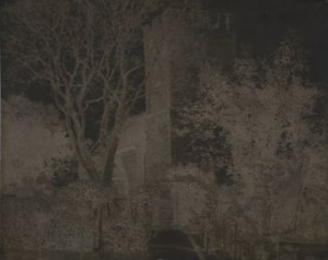 शीर्षकहीन द्वारा अज्ञात
