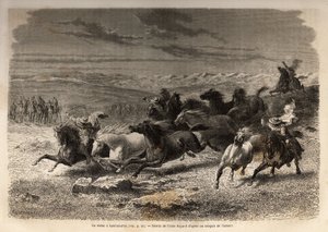 लौरामार्का (निचला पेरू) में एक रोडियो, जंगली घोड़ों का कब्जा, क्षेत्र के मालिक के आद्याक्षर के साथ उनके लोहे के निशान से पहले, एक पूर्ण तमाशा माना जाता है, कई बदमाश इकट्ठे हुए। क्विनक्विन की घाटियों में यात्रा को चित्रित करने के लिए उत्कीर्णन द्वारा अज्ञात कलाकार