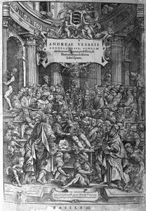 एनाटोमिकल रूम। आंद्रे वेसालियस (1514-1564), डच एनाटोमिस्ट (द स्टैंडर्ड: एंड्रियास वेसालियस, डच एंड्रीज़ वैन वेसेल) द्वारा "मानव शरीर सात 1543" के काम का फ्रंटस्पाइस। द्वारा अज्ञात कलाकार
