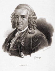 कार्ल वॉन लिने स्वीडिश प्रकृतिवादी और लेखक (1707 - 1778)। द्वारा अज्ञात कलाकार