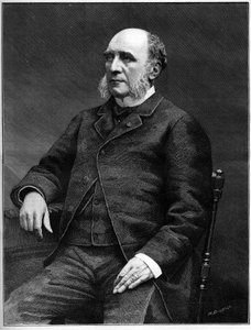 ड्यूक लुई चार्ल्स डेकेज़ (1819-1886), फ्रांसीसी राजनीतिज्ञ, 1873 से 1877 तक विदेश मामलों के मंत्री। द्वारा अज्ञात कलाकार