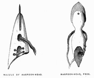 एस्किमो हार्पून - एलीशा केंट केन, 1853-1855 के वर्षों में कलात्मक अन्वेषण, फिलाडेल्फिया, चाइल्ड्स और पीटरसन द्वारा अज्ञात कलाकार