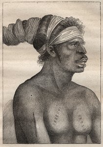 1791 में जीन फ्रेंकोइस गैलाउप डी ला पेरोस (1741-1788) की तलाश में एंटोनी ब्रूनी (ब्रूनी) डी'एंट्रेकास्टो (1737-1793) का अभियान: न्यू हॉलैंड (ऑस्ट्रेलिया) का प्रकार (हाथ और छाती पर निशान) - चित्रण लिया गया "" द ग्रैंड्स मेरिनर्स ऑफ़ थे से द्वारा अज्ञात कलाकार