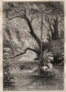 अलेक्जेंडर वॉन हंबोल्ट (1769-1859) और एमी बोनपलैंड (1773-1858) द्वारा अमेरिका के लिए अभियान (1799-1804): खोजकर्ता ओरेनोक उतरते हैं, जो अमेज़ॅन जंगल (कैनो पिमिचिन, वेनेजुएला) के विशाल पेड़ों से घिरा हुआ है - चित्रण लिया गया "द ग्रेट" से द्वारा अज्ञात कलाकार